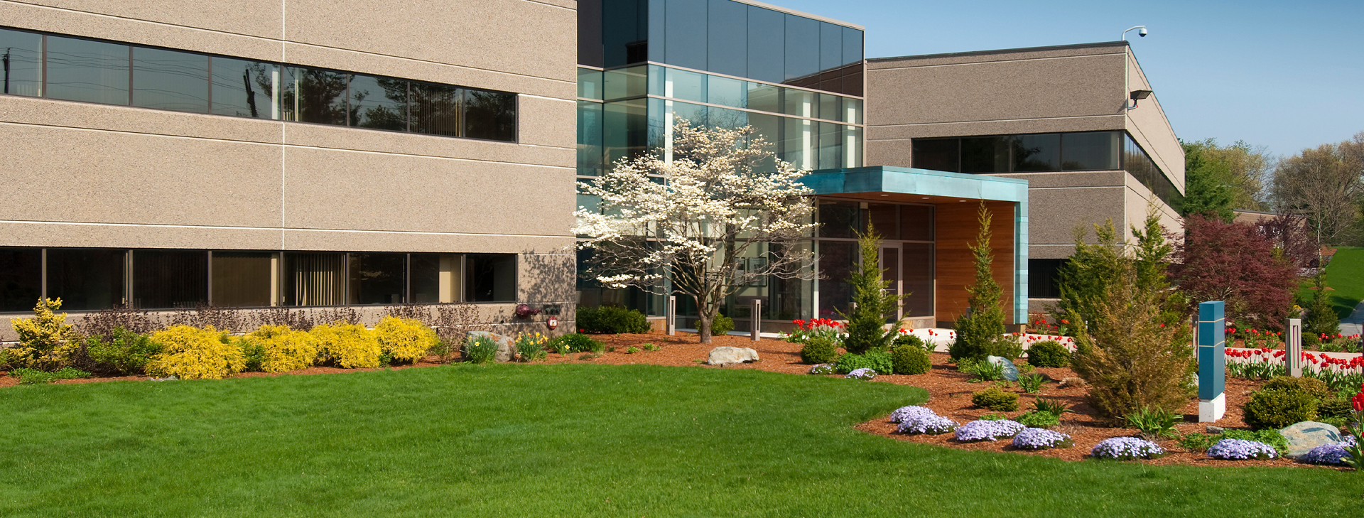 Commercial & Multifamily Property
Maintenance and Landscaping